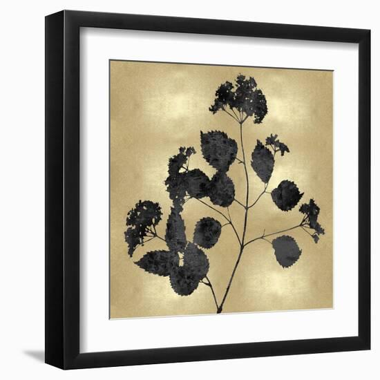 Nature Black on Gold VI-Danielle Carson-Framed Art Print