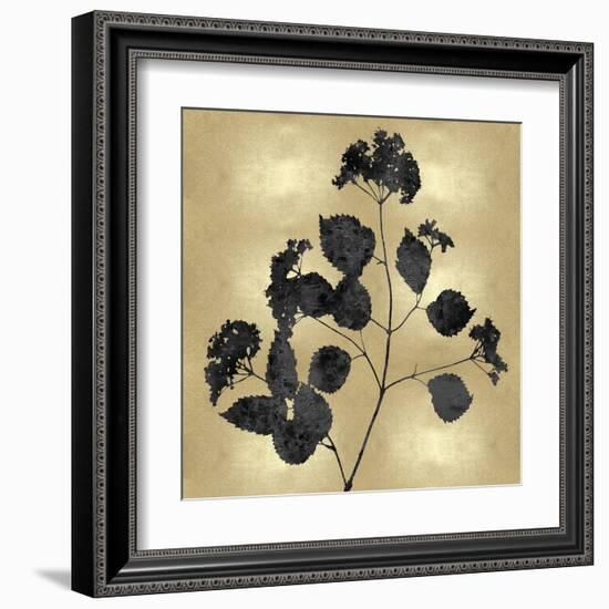 Nature Black on Gold VI-Danielle Carson-Framed Art Print