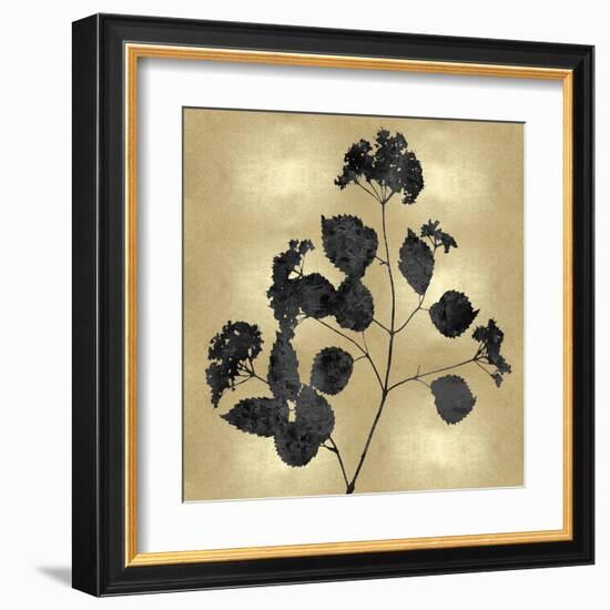 Nature Black on Gold VI-Danielle Carson-Framed Art Print