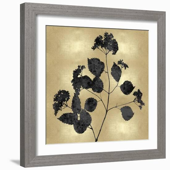 Nature Black on Gold VI-Danielle Carson-Framed Art Print