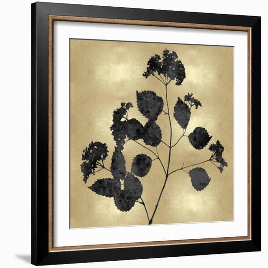 Nature Black on Gold VI-Danielle Carson-Framed Art Print