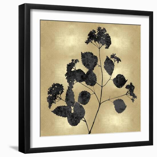 Nature Black on Gold VI-Danielle Carson-Framed Art Print