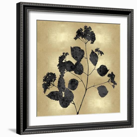 Nature Black on Gold VI-Danielle Carson-Framed Art Print