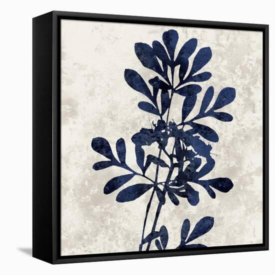 Nature Blue II-Danielle Carson-Framed Stretched Canvas