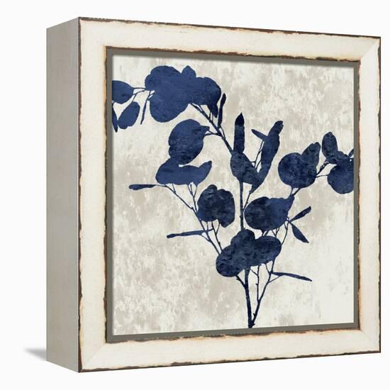 Nature Blue III-Danielle Carson-Framed Stretched Canvas