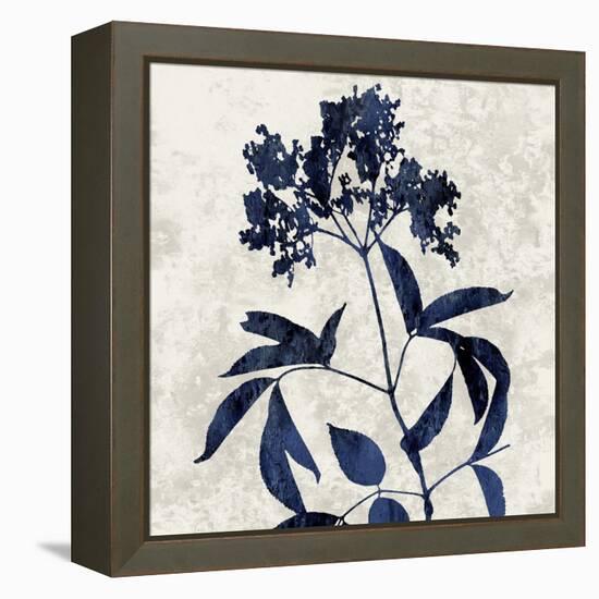 Nature Blue V-Danielle Carson-Framed Stretched Canvas