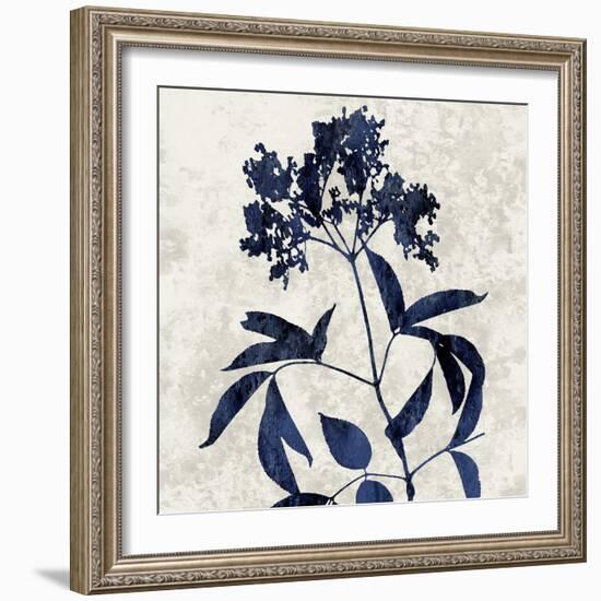 Nature Blue V-Danielle Carson-Framed Art Print