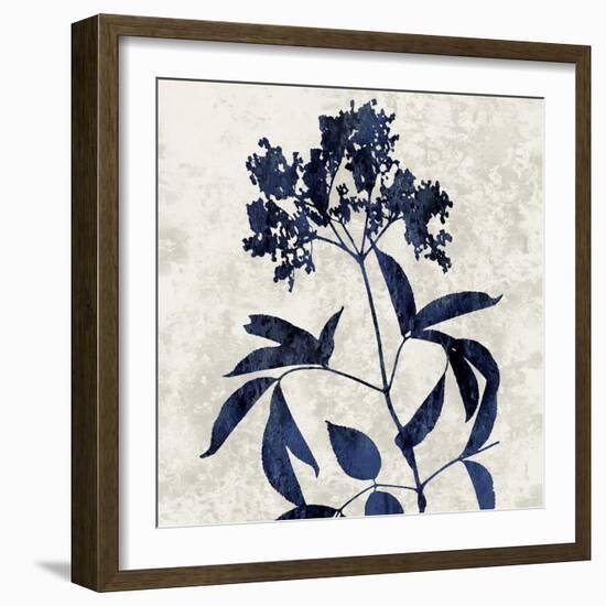 Nature Blue V-Danielle Carson-Framed Art Print