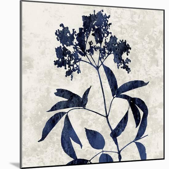 Nature Blue V-Danielle Carson-Mounted Art Print