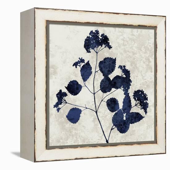 Nature Blue VI-Danielle Carson-Framed Stretched Canvas