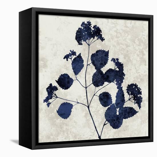 Nature Blue VI-Danielle Carson-Framed Stretched Canvas