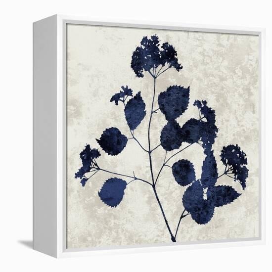 Nature Blue VI-Danielle Carson-Framed Stretched Canvas