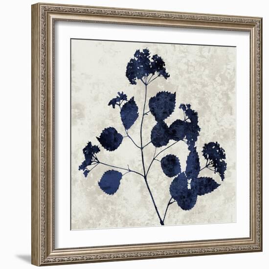 Nature Blue VI-Danielle Carson-Framed Art Print