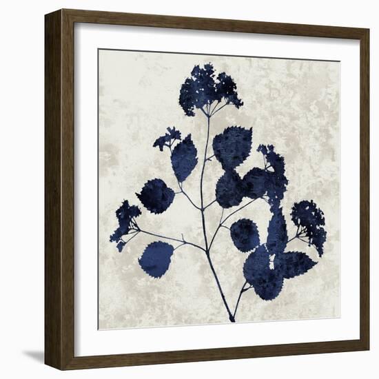 Nature Blue VI-Danielle Carson-Framed Art Print