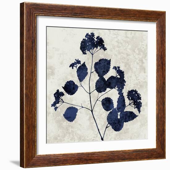 Nature Blue VI-Danielle Carson-Framed Art Print