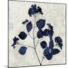 Nature Blue VI-Danielle Carson-Mounted Art Print