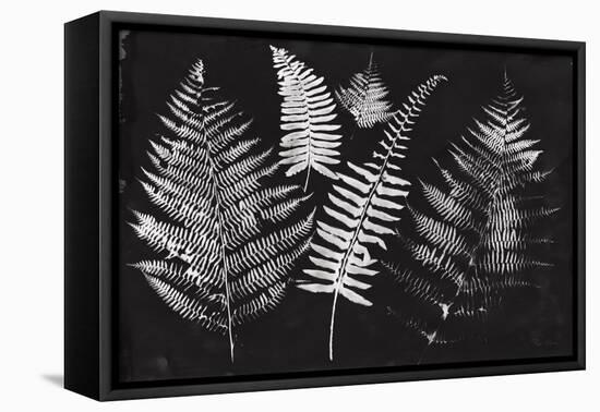 Nature by the Lake Ferns I Black-Piper Rhue-Framed Stretched Canvas