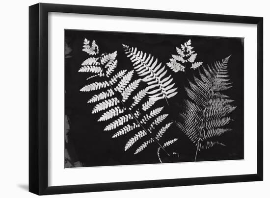 Nature by the Lake Ferns II Black-Piper Rhue-Framed Art Print