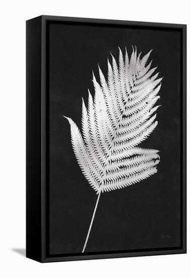 Nature by the Lake Ferns III Black-Piper Rhue-Framed Stretched Canvas