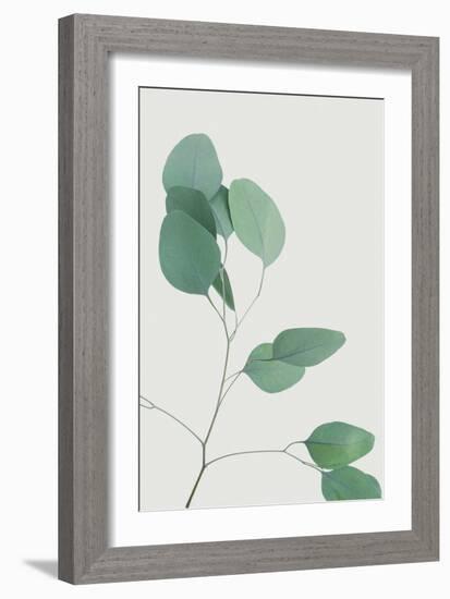 Nature Calm - Lull-Irene Suchocki-Framed Giclee Print