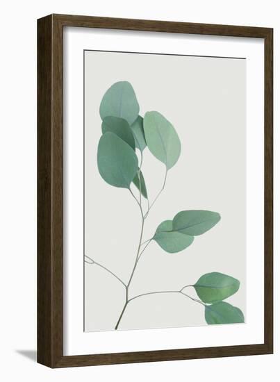 Nature Calm - Lull-Irene Suchocki-Framed Giclee Print