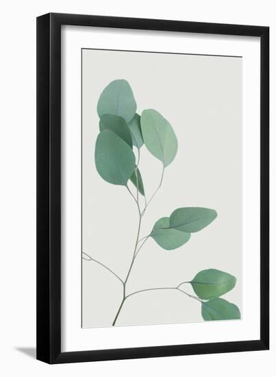 Nature Calm - Lull-Irene Suchocki-Framed Giclee Print