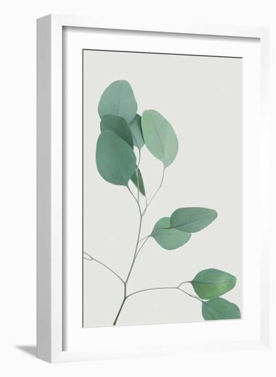 Nature Calm - Lull-Irene Suchocki-Framed Giclee Print
