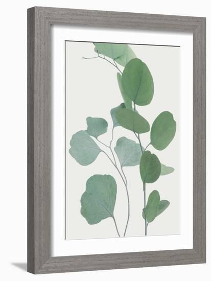 Nature Calm - Rest-Irene Suchocki-Framed Giclee Print