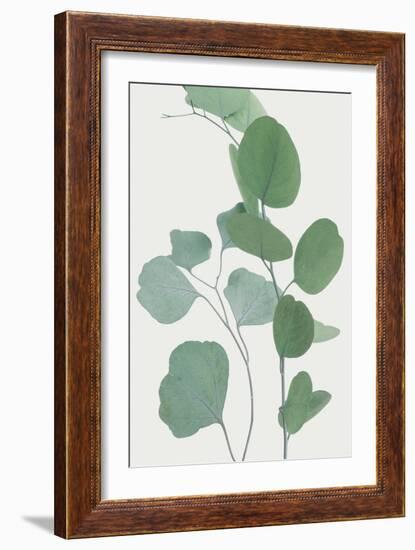 Nature Calm - Rest-Irene Suchocki-Framed Giclee Print