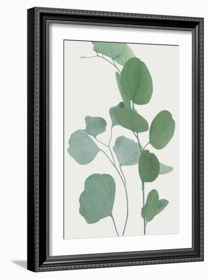 Nature Calm - Rest-Irene Suchocki-Framed Giclee Print