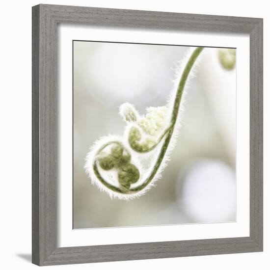 Nature Close Up-Myan Soffia-Framed Photographic Print