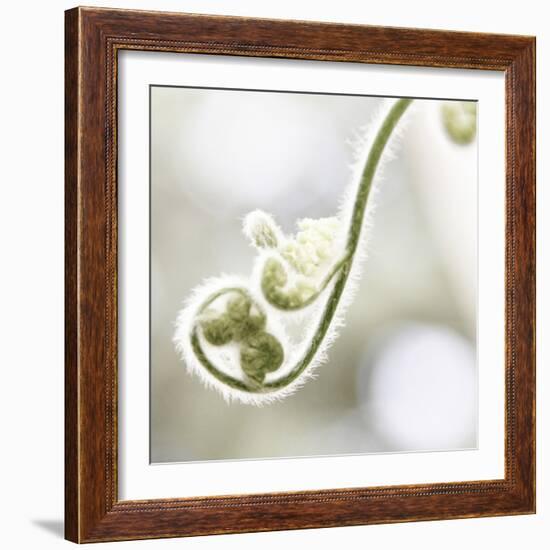 Nature Close Up-Myan Soffia-Framed Photographic Print