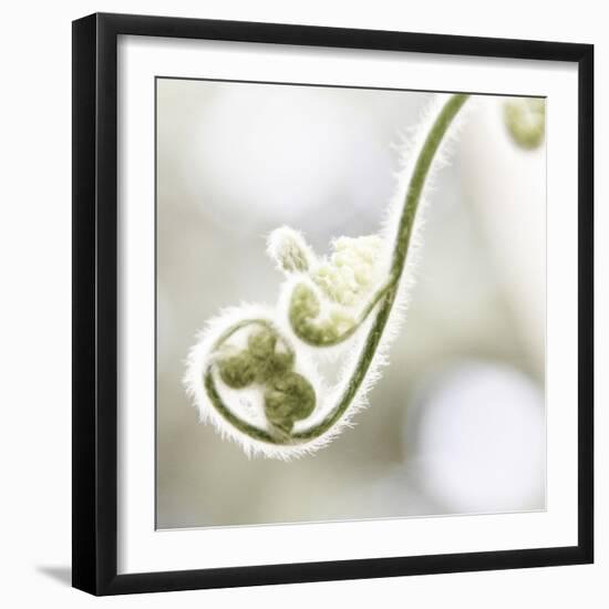 Nature Close Up-Myan Soffia-Framed Photographic Print