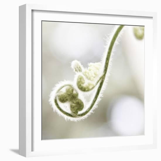 Nature Close Up-Myan Soffia-Framed Photographic Print