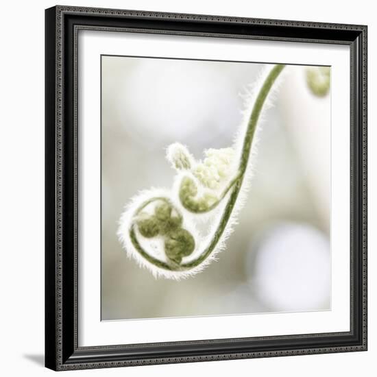 Nature Close Up-Myan Soffia-Framed Photographic Print