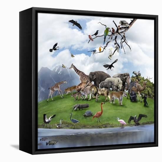 Nature Collage with  Wild Animals and Birds-abracadabra99-Framed Premier Image Canvas