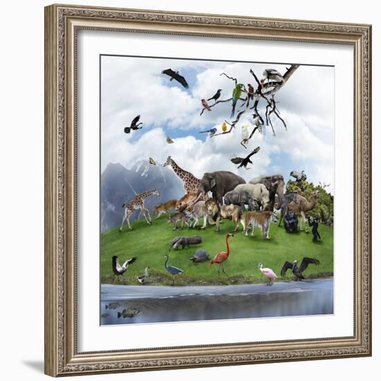 Nature Collage with  Wild Animals and Birds-abracadabra99-Framed Photographic Print