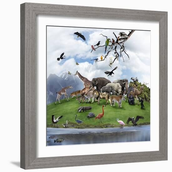 Nature Collage with  Wild Animals and Birds-abracadabra99-Framed Photographic Print