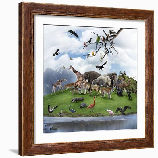 Nature Collage with  Wild Animals and Birds-abracadabra99-Framed Photographic Print