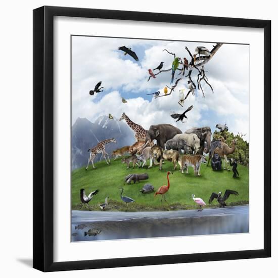 Nature Collage with  Wild Animals and Birds-abracadabra99-Framed Photographic Print