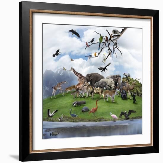 Nature Collage with  Wild Animals and Birds-abracadabra99-Framed Photographic Print