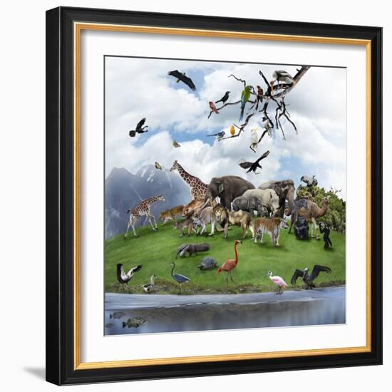 Nature Collage with  Wild Animals and Birds-abracadabra99-Framed Photographic Print