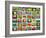 Nature Collage-miff32-Framed Art Print