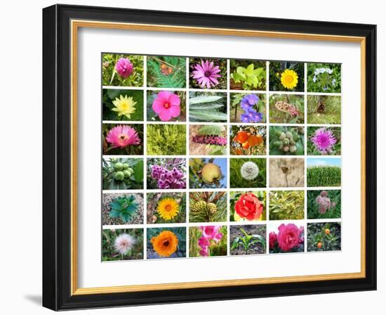 Nature Collage-miff32-Framed Art Print