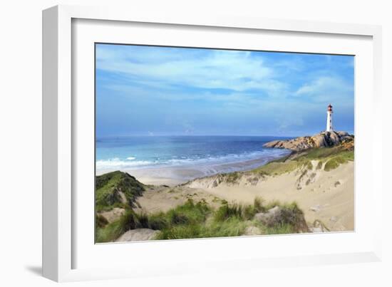 Nature Collection 4-Ata Alishahi-Framed Giclee Print