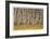 Nature Conservancy Aspen Grove II-Donald Paulson-Framed Giclee Print