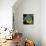Nature Fan, Coconut Color-Belen Mena-Giclee Print displayed on a wall