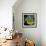 Nature Fan, Coconut Color-Belen Mena-Framed Giclee Print displayed on a wall