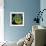 Nature Fan, Coconut Color-Belen Mena-Framed Giclee Print displayed on a wall