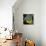 Nature Fan, Coconut Color-Belen Mena-Mounted Giclee Print displayed on a wall